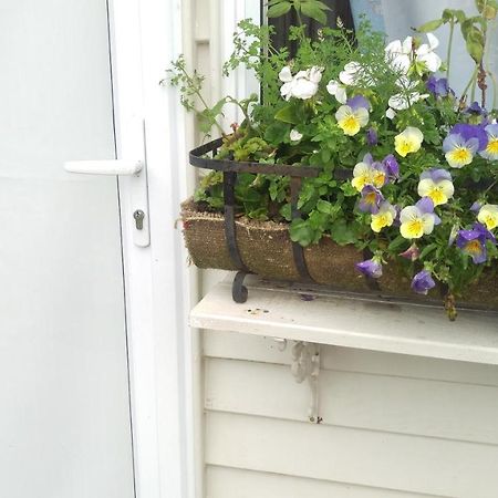 Geranium Cottage-Mt Taranaki Stratford Esterno foto