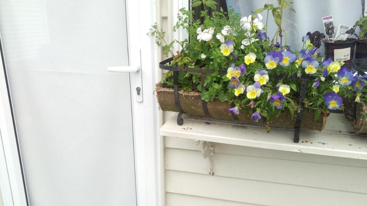 Geranium Cottage-Mt Taranaki Stratford Esterno foto